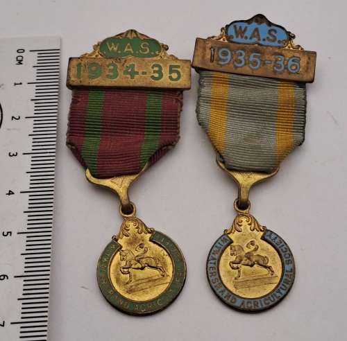 1934-1935 and 1935-1936 W.A.S (Witwatersrand Acricultural Society)Horse show Medals No 9 and 75