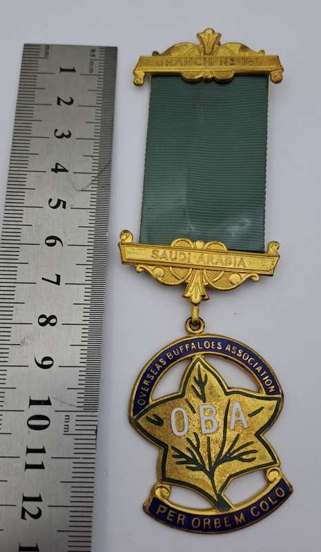 Vintage Saudi Arabia Overseas Buffaloes Association Masonic Jewel (Free Mason)
