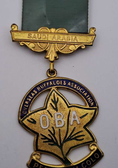 Vintage Saudi Arabia Overseas Buffaloes Association Masonic Jewel (Free Mason)