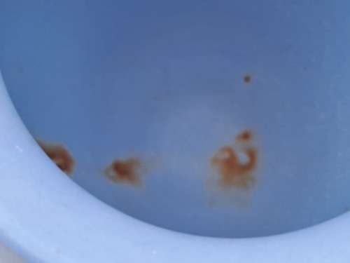 Collectable Vintage Wedgwood Jasperware Vase 100x80mm-Made in England (few stains inside)
