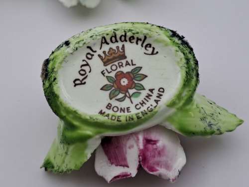 8 Vintage ROYAL ADDERLEY FLORAL bone china porcelain Name card Holders(1 was repaired)in Cigar box