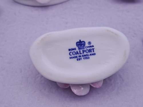 Vintage Coalport  Bone china Flower Name Place Settings Or Menu Holders in Box