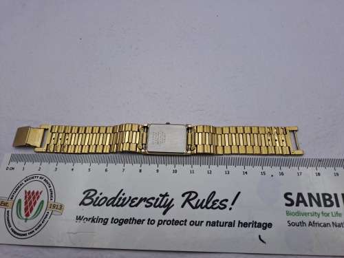 Vintage Seiko Ladies Quartz watch -WORKING- in Box - extra links for the strap