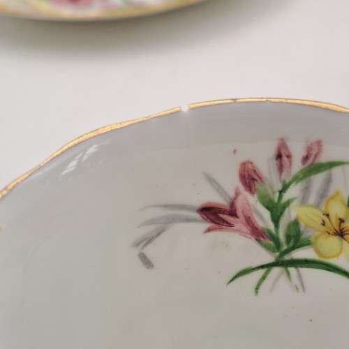 1950`s Royal Standard Garden Glory Demitasse 5 Cups ,6 Saucers (1 Cup chipped and 1 hairline Crack)