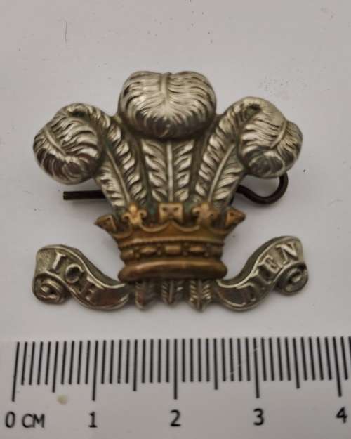 Royal Wiltshire Yeomanry Cap Badge 37mm x 32mm