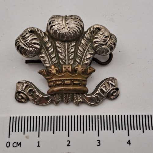 Royal Wiltshire Yeomanry Cap Badge 37mm x 32mm