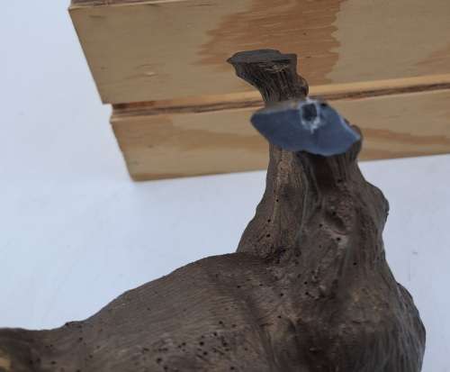 a Buffalo Figurine (Hand Made) in wooden Crate -ONE FOOT/HOOF BROKEN
