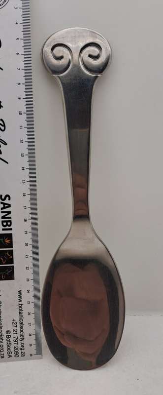 Large Carol Boyes  18/8 Stainless Steel  Spoon  -Used Condition - 27cm