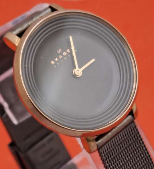 Pre-Owned Ladies Skagen -Denmark Fashion Quartz watch   -Working