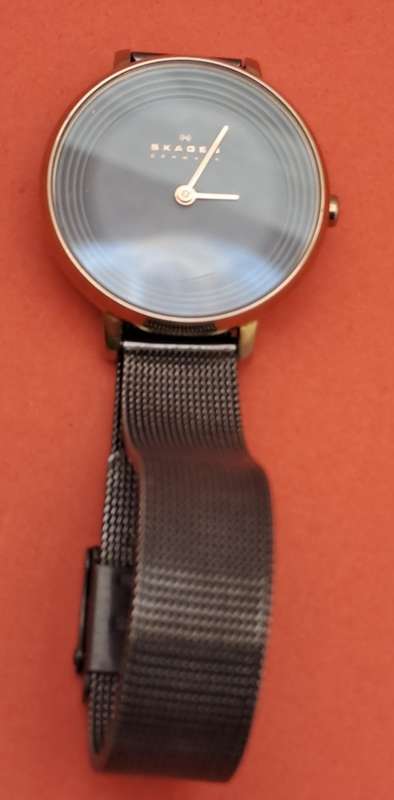 Pre-Owned Ladies Skagen -Denmark Fashion Quartz watch   -Working