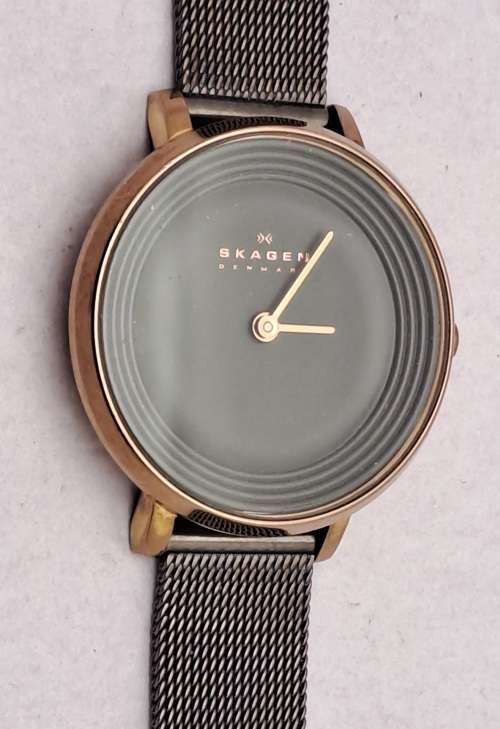 Pre-Owned Ladies Skagen -Denmark Fashion Quartz watch   -Working
