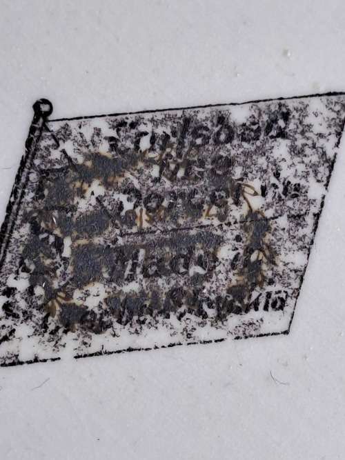 Antique Charlsbad Fine Porcelain tray made in Czechoslovakia (REPAIRED)