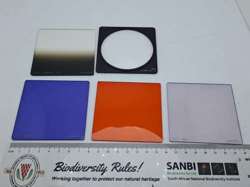 7 HOYAREX Lens  Filters -one is a close-up filter -Made in Japan
