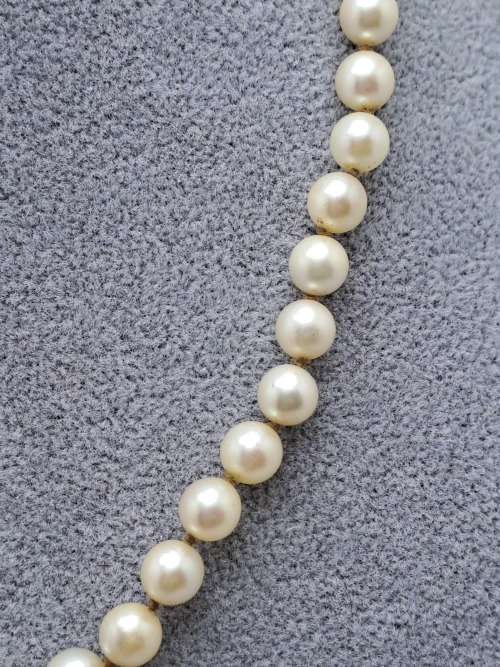 Vintage Genuine Pearl Necklace 41cm with Sterling silver Clasp-Pearls are 7mm in Diameter