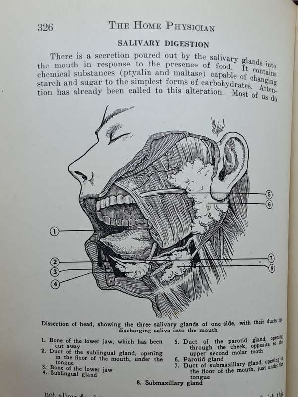 1931 - The Home Physician and Guide To Health-Revised Edition