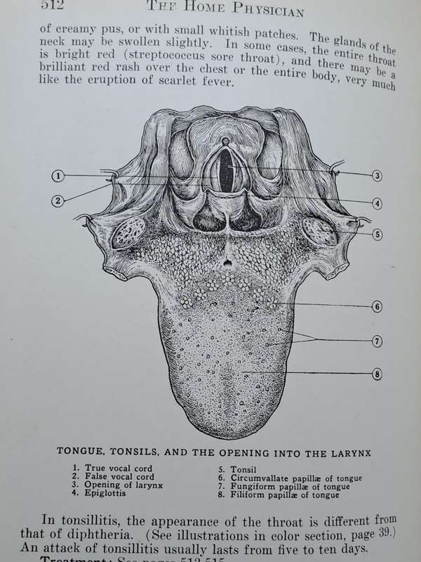 1931 - The Home Physician and Guide To Health-Revised Edition
