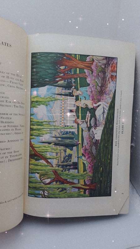 1931 - The Home Physician and Guide To Health-Revised Edition