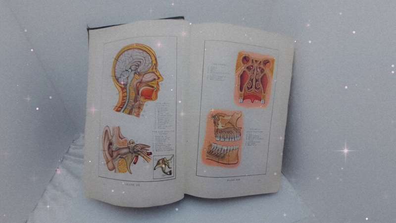 1931 - The Home Physician and Guide To Health-Revised Edition