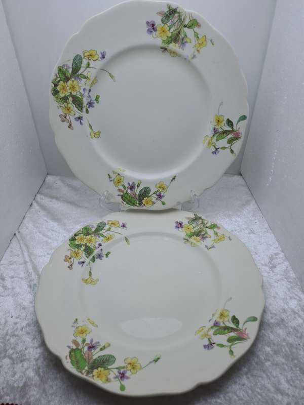 2 Vintage 1938-1959 Royal Doulton Bone China Diner Plates 261mm-  Made in England