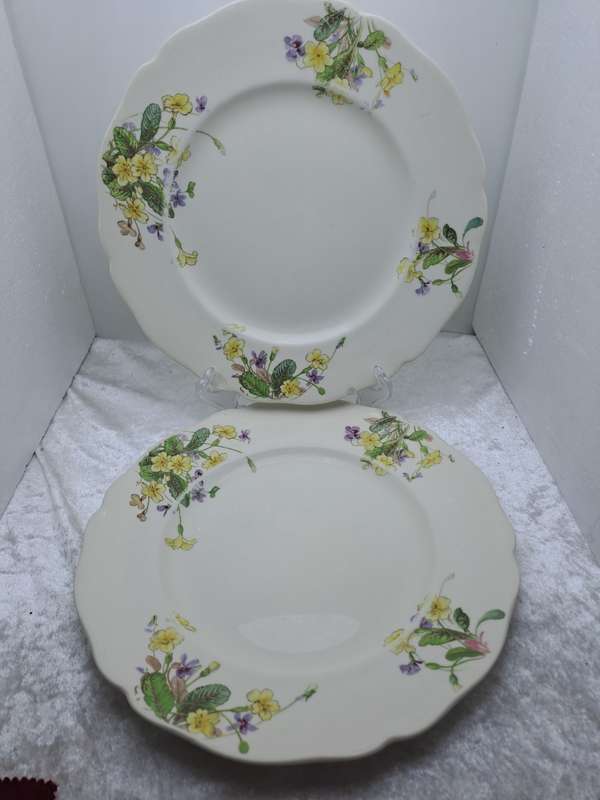 2 Vintage 1938-1959 Royal Doulton Bone China Diner Plates 261mm-  Made in England