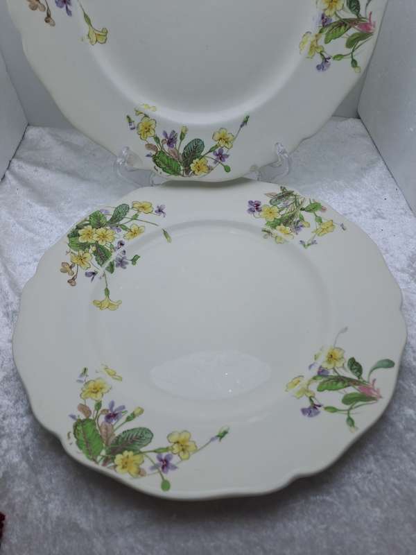 2 Vintage 1938-1959 Royal Doulton Bone China Diner Plates 261mm-  Made in England