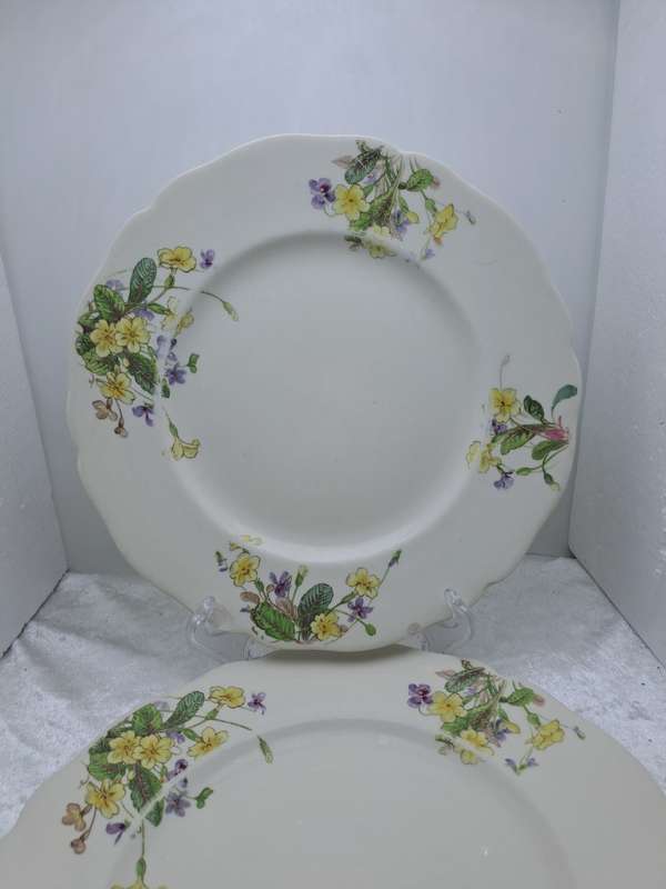 2 Vintage 1938-1959 Royal Doulton Bone China Diner Plates 261mm-  Made in England