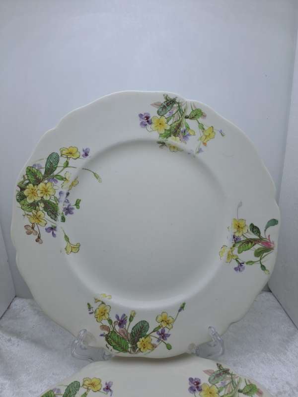 2 Vintage 1938-1959 Royal Doulton Bone China Diner Plates 261mm-  Made in England