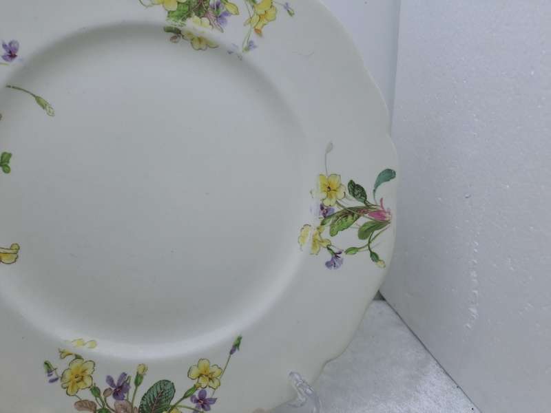 2 Vintage 1938-1959 Royal Doulton Bone China Diner Plates 261mm-  Made in England