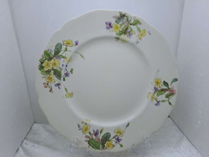 2 Vintage 1938-1959 Royal Doulton Bone China Diner Plates 261mm-  Made in England