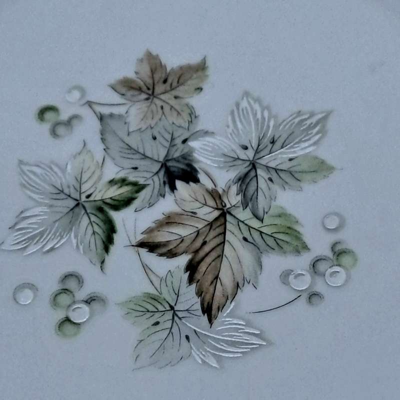 Vintage 1966-73 Noritake WOODLEY 6783 Pasta Bowl- Japan (6 Available)