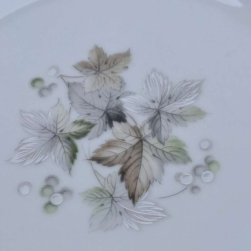 Vintage 1966-73 Noritake WOODLEY 6783 Pasta Bowl- Japan (6 Available)