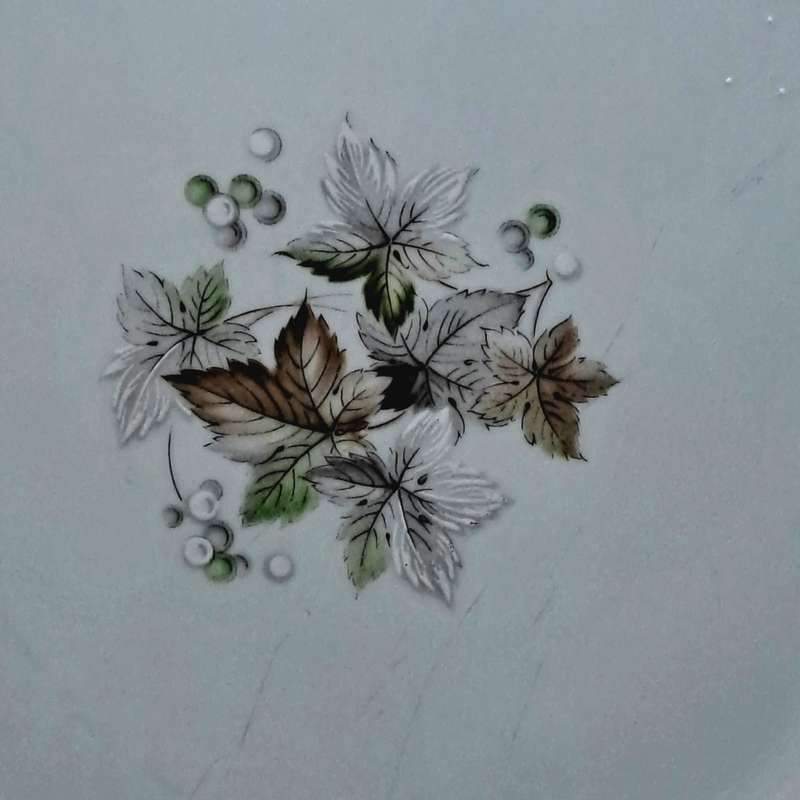 Vintage 1966-73 Noritake WOODLEY 6783 Plate 21cm- Japan (6 Available)