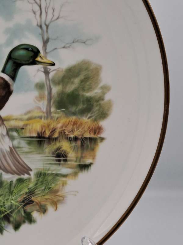 Vintage Royal Chelsea Bone China BIRDS OF THE COUNTRY SIDE COLLECTION THE MALLARD Plate -England