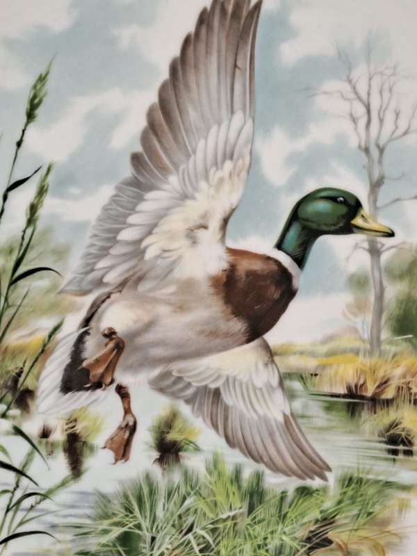 Vintage Royal Chelsea Bone China BIRDS OF THE COUNTRY SIDE COLLECTION THE MALLARD Plate -England
