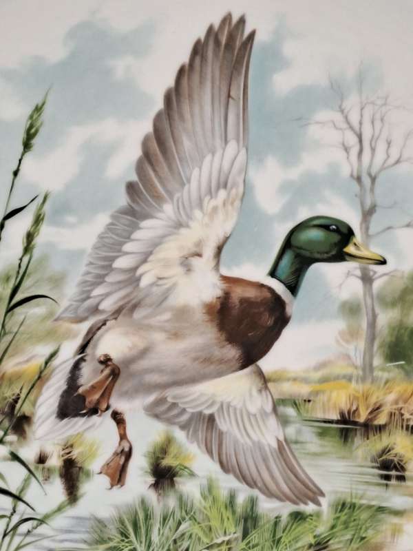 Vintage Royal Chelsea Bone China BIRDS OF THE COUNTRY SIDE COLLECTION THE MALLARD Plate -England