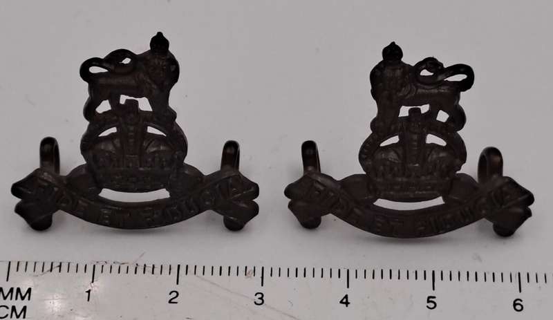 British Army: Royal Army Pay Corps Collar Badges 28mm x 30mm