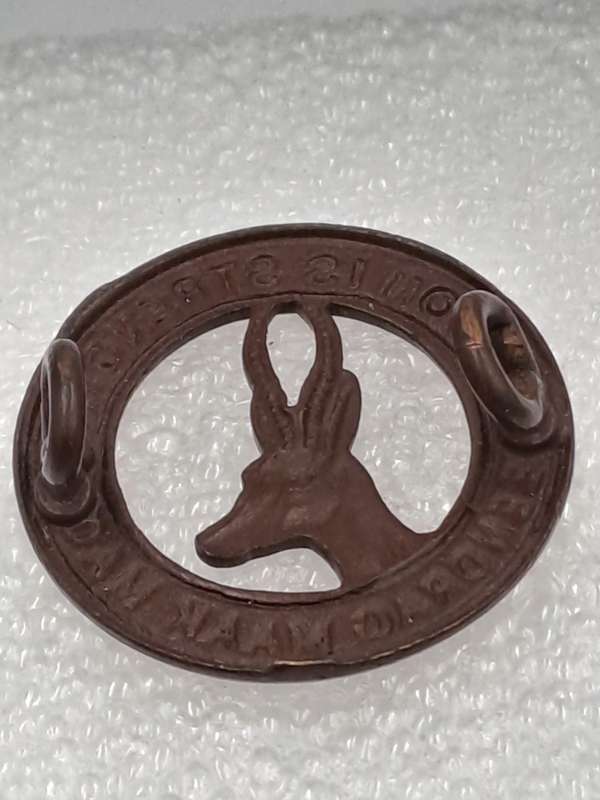 Vintage SADF /SA ARMY UNION IS STRENGTH-COLLAR BADGE SADF