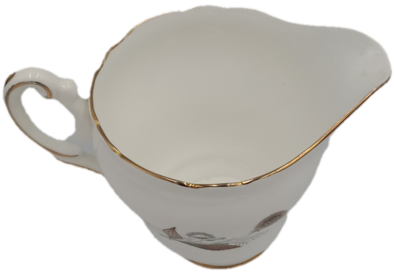 21 pc Vintage Regency Bone China Tea set with 6 Trio`s- Made in England