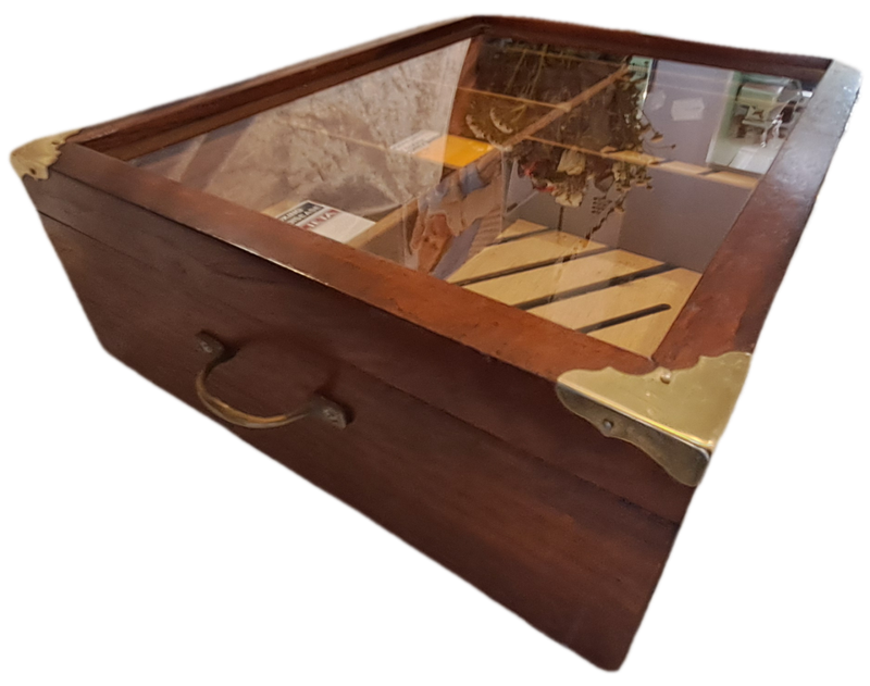 Large Vintage Wood Cigar Display Case from the Tobacco Co. with 16 Cigars and 2 cutters.