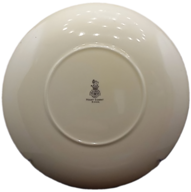 Vintage Royal Doulton MOUNT EGMONT D.6436 Plate 263mm