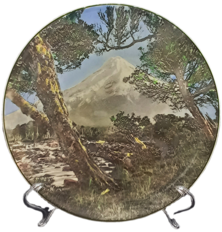 Vintage Royal Doulton MOUNT EGMONT D.6436 Plate 263mm