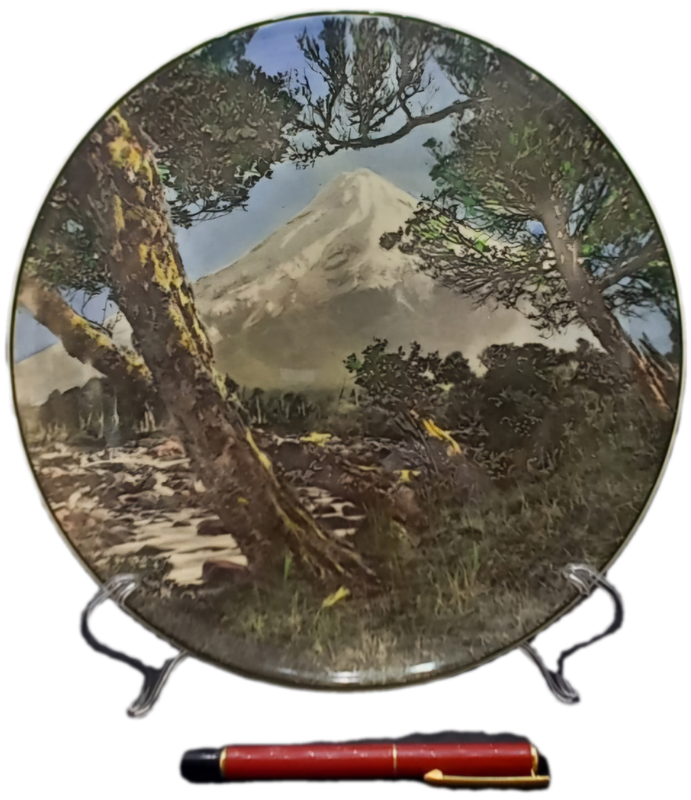 Vintage Royal Doulton MOUNT EGMONT D.6436 Plate 263mm