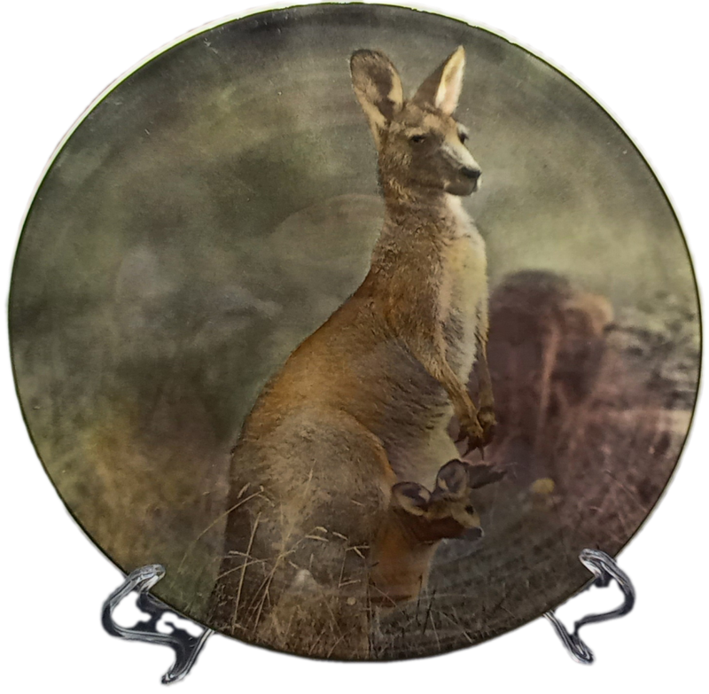 Vintage Royal Doulton Mother Kangaroo with Joey. D.6423 Plate 265mm