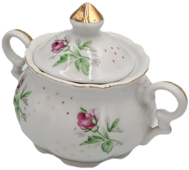 17 Pc Porcelain Teaset  Rose design - 1 cup was replaced with a different Pattern-Small Set