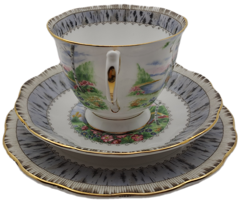 Vintage Royal Albert SILVER BIRCH Tea Trio Bone China England (3 Available)