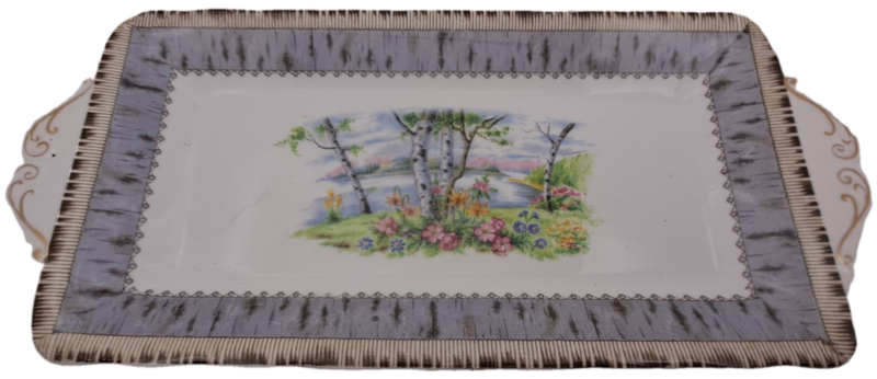Vintage Royal Albert SILVER BIRCH Tray  Bone China England 290x132mm