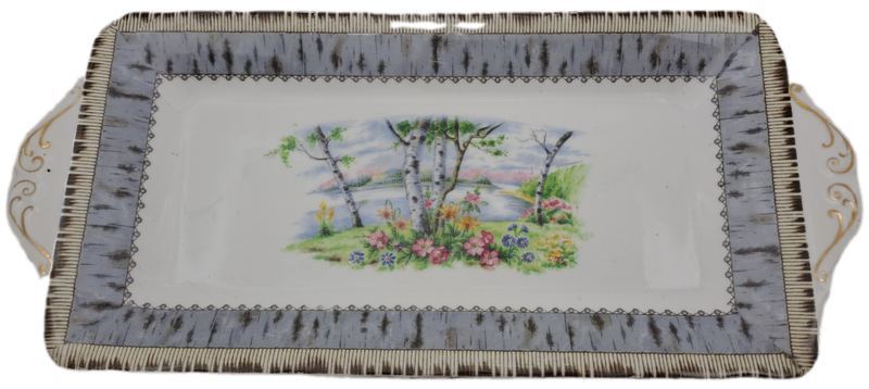 Vintage Royal Albert SILVER BIRCH Tray  Bone China England 290x132mm