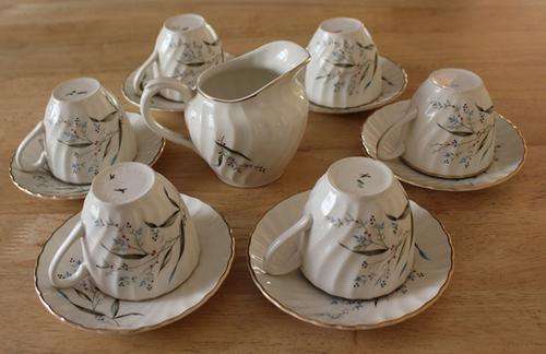 a 13 Piece Royal Wessex Ironstone tea set  made in england by Swinnertons