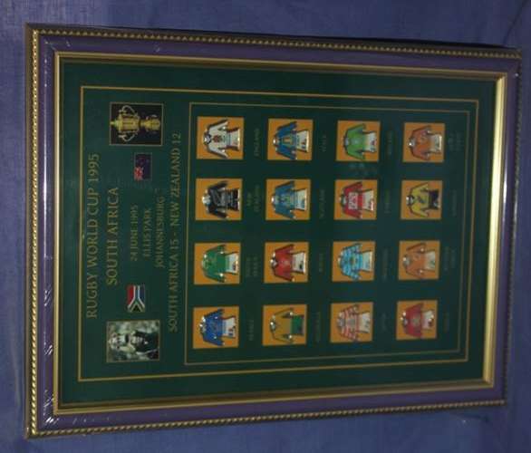 Framed Rugby 1995 World Cup Portret with 16 Pins 333mm x 245mm behind Glass