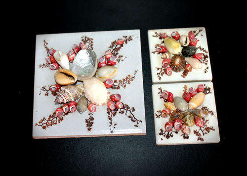 3 Lovely Tiles decorated with shells 98mmx98mm and 2 x 55mm x55mm